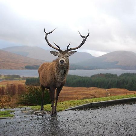 Clifton Cottage B&B Tyndrum Exterior foto